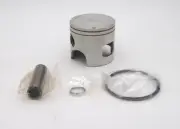Sierra 18-4111 Piston & Rings Kit Johnson Evinrude OMC V4 V6 Loopers 120-300HP