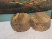 TWO PIECE SPALTED HACKBERRY 6X3 TURNING WOOD BOWL BLANK