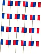 LALADEFIEE 200Pcs National Flag Cocktail Toppers Decorative Fruit Toothpicks for Parties Disposable Food Flag Picks for Appetizers Drinks Celebrations