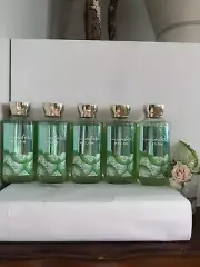 5 New CUCUMBER MELON BATH & BODY WORKS BODY WASH SHOWER GEL 10 FL OZ