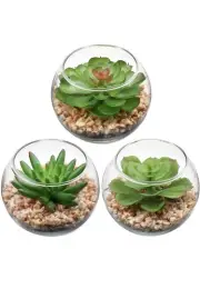 Briful 3PCS mini Succulents Artificial Plants Small Succulents in Glass ..