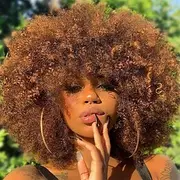 Afro Wigs for Black Women 10 inch Afro Curly Wig 70s Large Bouncy and Soft Afro Puff Wigs Natural Looking Full Wigs for Party Cosplay Afro Wig Halloween Wigs
