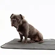 Dundies Reusable Washable Puppy Pad