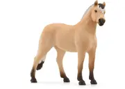 Norwegian Fjord Horse Gelding