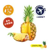 在飛比找遠傳friDay購物優惠-【預購】2024《貨送台灣》金鑽鳳梨-5kg(3~4粒入)