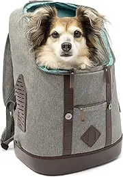 Kurgo Dog Carrier Backpack for Small Pets - Dogs & Cats | TSA Airline Approved | Cat | Hiking or Travel | Waterproof Bottom | G-Train | K9 Ruck Sack | Red | Grey (Heather Charcoal Grey)