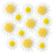 12Pcs Daisy Tissue Paper Pom Poms Flower 12" 8" White Yellow Flowers Themed Bir
