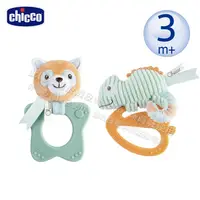 在飛比找蝦皮商城優惠-chicco-動物好握固齒器(小熊貓好握固齒器/變色龍好握固