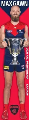 AFL MELBOURNE DEMONS Team player poster,CATS, DIGS, PIES BLUES,CROWS, FOOTBALL 1