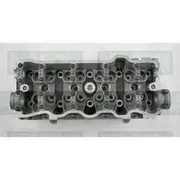 Nason Cylinder Head - Bare - 909057