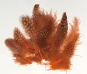 Spotted Guinea Hen Feathers 1-4" Body Plumage ORANGE dyed 1/4 oz bag