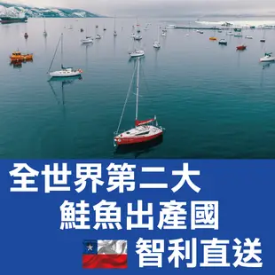 【田食原】智利頂級鮭魚菲力150g-200g 海鮮水產 豐富營養 天然無添加 減醣健身 增肌減脂必備