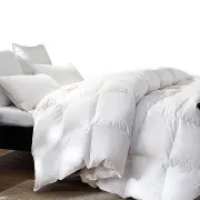 DreamZ 500GSM All Season Goose Down Feather Filling Duvet in Queen Size