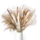 85PcsPampas Grass Decorative Vase Home Arrangements, Dried Natural Pampas7354