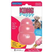 Puppy Dog Fun Chew Toy