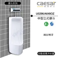 在飛比找蝦皮購物優惠-附發票 含稅 CAESAR凱撒 中型立式便斗U0296/A6