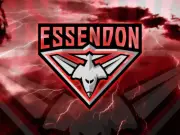 Afl football team photo, Essendon bombers