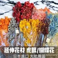 在飛比找蝦皮購物優惠-大地農園 虎眼買3送1 蝴蝶花 薔薇果 稻穗高粱 永生花 乾