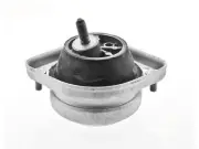 Front Left Engine Mount For 2000-2003 BMW M5 5.0L V8 2001 2002 XF721PG (for: BMW)