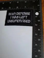 In My Defense I Was Left Unsupervised Patch