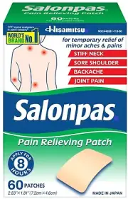 Salonpas Pain Relieving Patches, 60 Count