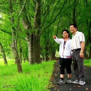 台南-走馬瀨農場(入園門票+田媽媽料理單人餐券)