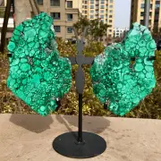 2.87LB Natural malachite Butterfly Wings Crystal Healing Reiki Art+shelf