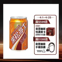 在飛比找PChome24h購物優惠-《黑松》沙士-加鹽330ml(6入/組)