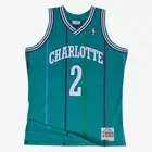 Men's Larry Johnson Teal Charlotte Hornets 1992/93 Hardwood Classics Swingman XL