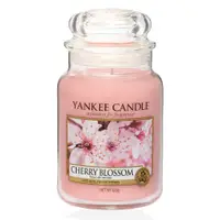 在飛比找PChome24h購物優惠-《YANKEE CANDLE》櫻花香氛香氛蠟燭623g