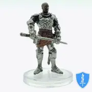 Paladin - Voices of the Realms: Band of Heroes #4 D&D Icons of Realms Miniature