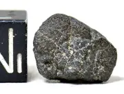 Meteorite NWA 15523 - rare CM2 Carbonaceous Chondrite complete Individual