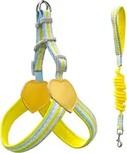 Teumessian Dog Heart Love Harness Leash, Adjustable Dog Leash for Small, Medium, and Large Breeds,YL,XS.