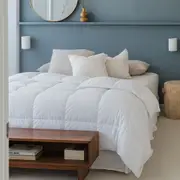 Sienna Living Winter Hungarian Goose Down Quilt