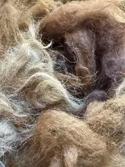 Raw, Unwashed Alpaca Fiber Wool (1 lb)