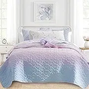 DREAMCLOUD HOME Quilt Set Full Queen Size 3 Piece, Bailey Pattern Printed Bedding Coverlet Set, Lightweight Soft Reversible Bedspread Sets for All Season (1 Quilt & 2 Pillow Shams)