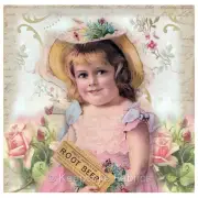 Whimsy Dust Girl Roses Quilt Block Multi Szs FrEE ShiP WoRld Wide (W87