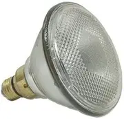 Mirabella PAR38 ES 150W Globe Single Glass Light