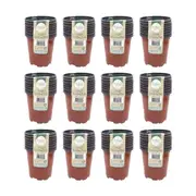 120pc Antheia Green Homewares Soft Plastic Seedling Planter Pot 13x9cm Brown