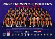 Fremantle dockers AFL FOOTBALL TEAM POSTER,FREE POST, Bargain,1