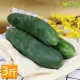 鮮採家 台灣特級鮮脆胡瓜 大黃瓜3台斤(1.8KG)