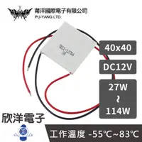 在飛比找蝦皮商城優惠-莆洋 40x40 DC12V 27~114W 半導體製冷晶片