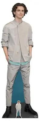 Timothee Chalamet Grey Outfit Lifesize and Mini Cardboard Cutout / Standee