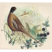 Pheasant Wild Bird Overglaze Waterslide Ceramic Decals
