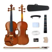 1/4 Violin Kit with Bow Case Shoulder Rest and Rosewood Fittings for Beginners