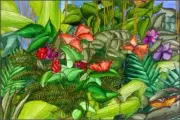 Butterfly Tile Backsplash Daniels Tropical Art Ceramic Mural RD009