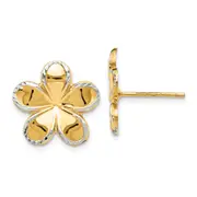 14K Yellow & Rhodium W/Rhodium Flower Post Earrings