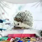 Cute Little Hedgehog 3D Wall Hang Cloth Tapestry Fabric Decorations Decor