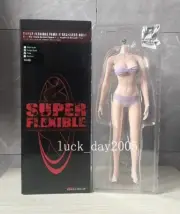 TBLeague Phicen Female Seamless BIG bust body w/ Steel Skeleton Pale 1/6 S04B