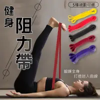 在飛比找PChome24h購物優惠-【健身阻力帶-100磅】國際級阻力帶 高級 彈力帶 TRX 